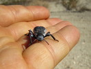 photo thumbnail #15