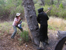 photo thumbnail #14