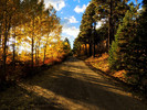 photo thumbnail #3