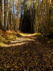 photo thumbnail #9