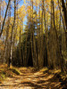 photo thumbnail #12