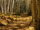photo thumbnail #13