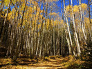 photo thumbnail #14
