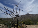 photo thumbnail #11
