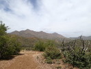 photo thumbnail #13