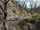 photo thumbnail #15