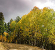 photo thumbnail #7