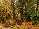 photo thumbnail #13