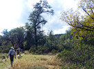 photo thumbnail #3