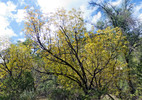 photo thumbnail #4