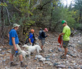 photo thumbnail #13