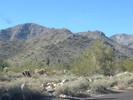 photo thumbnail #2