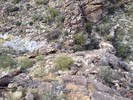 photo thumbnail #8