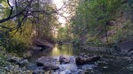 photo thumbnail #2
