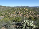 photo thumbnail #5