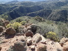 photo thumbnail #13