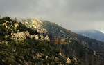 photo thumbnail #9