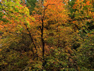 photo thumbnail #13
