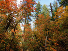photo thumbnail #15