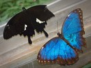photo thumbnail #14