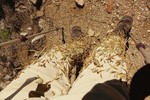 photo thumbnail #9