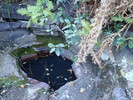 photo thumbnail #12