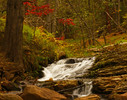 photo thumbnail #1