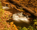 photo thumbnail #5