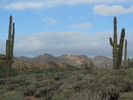 photo thumbnail #7