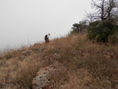 photo thumbnail #10