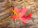 photo thumbnail #3