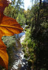 photo thumbnail #14