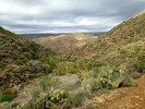 photo thumbnail #5