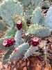 photo thumbnail #4