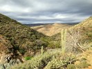 photo thumbnail #6