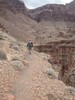 photo thumbnail #15