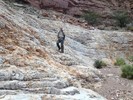 photo thumbnail #11