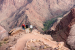 photo thumbnail #15