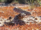 photo thumbnail #4