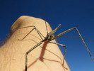 photo thumbnail #12