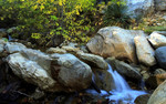 photo thumbnail #15