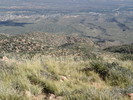 photo thumbnail #12