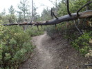 photo thumbnail #14