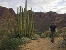 photo thumbnail #2