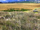 photo thumbnail #14