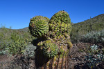 photo thumbnail #4