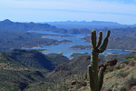 photo thumbnail #7