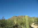photo thumbnail #1
