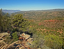 photo thumbnail #5