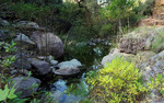 photo thumbnail #9